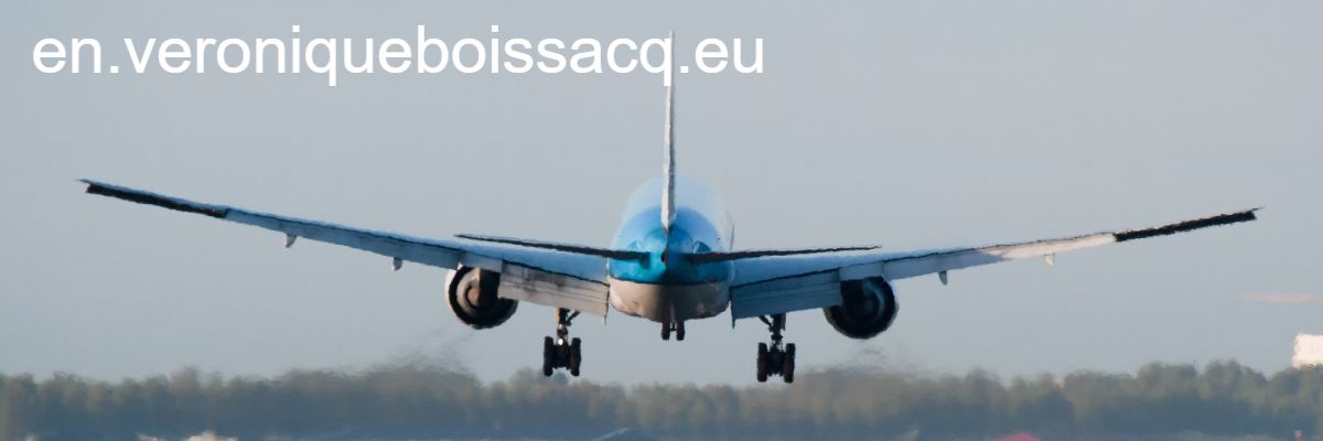 en.veroniqueboissacq.eu